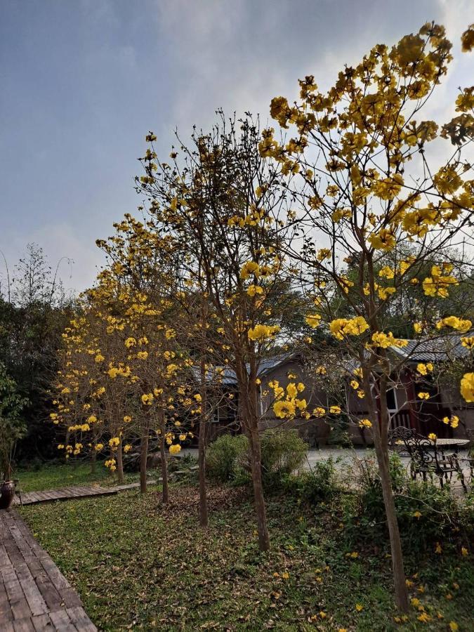 蓬萊生態農場仙山民宿 Nanzhuang Εξωτερικό φωτογραφία